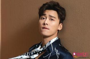 爆料李易峰视频,揭秘明星幕后生活片段  第3张